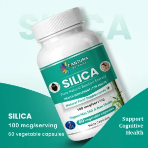 Silica