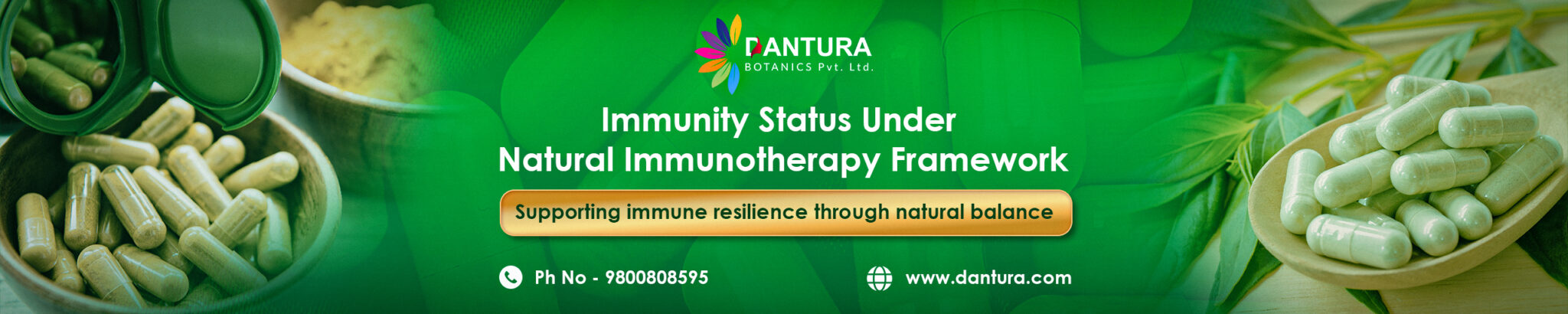 Marque Banner - Dantura