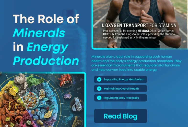 The Role of Minerals in Energy Production